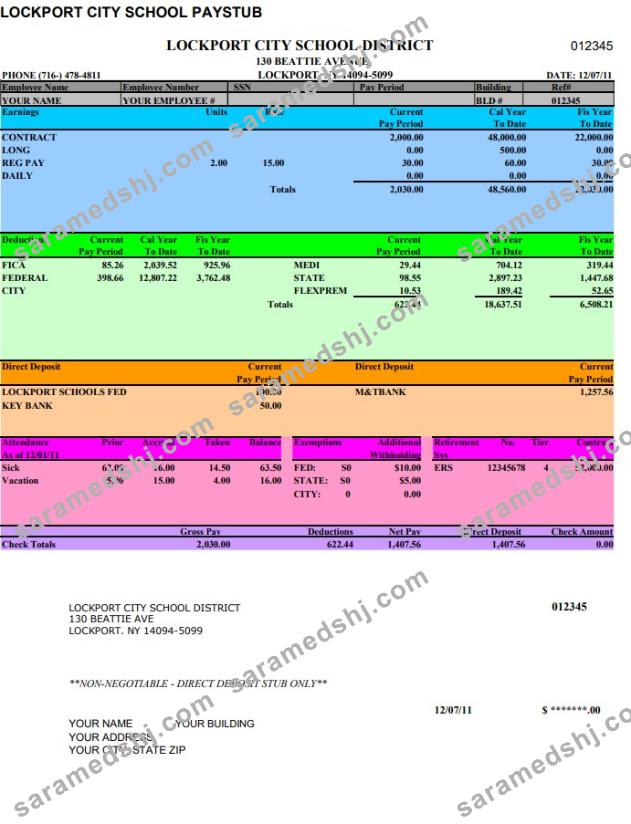 Lockport City School pay stub Word and PDF template